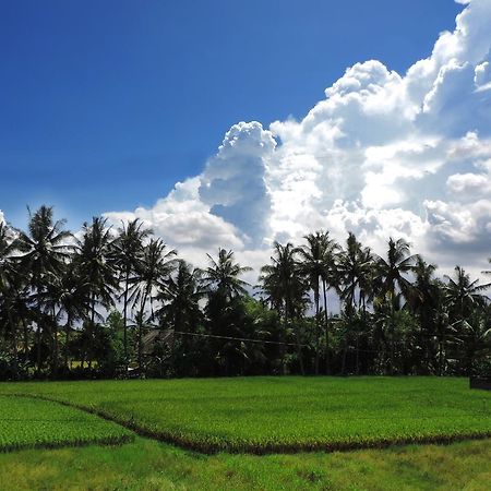 Pondok Ayu Soca Ubud  Exterior photo